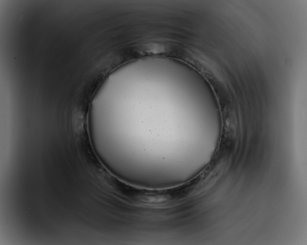 X0000092060555200710031102