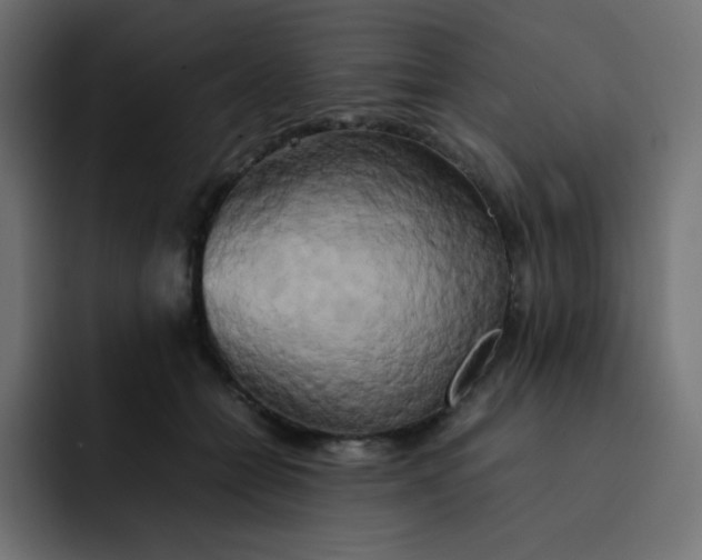 X0000092060558200710031102