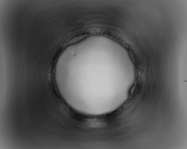 X0000092060561200710031102