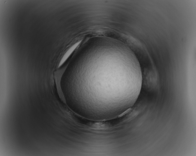 X0000092060562200710031102