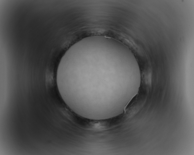 X0000092060564200710031102