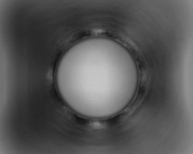 X0000092060565200710031102