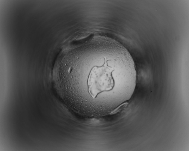 X0000092060566200710031102