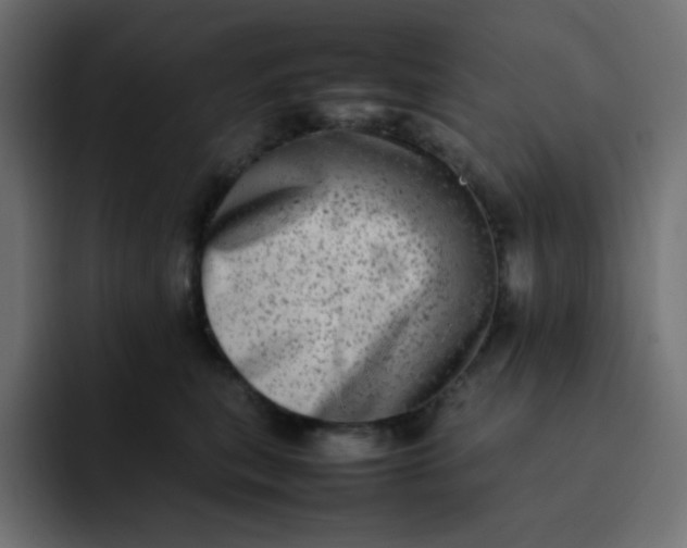 X0000092060567200710031102