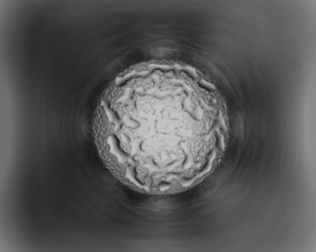 X0000092060569200710031102