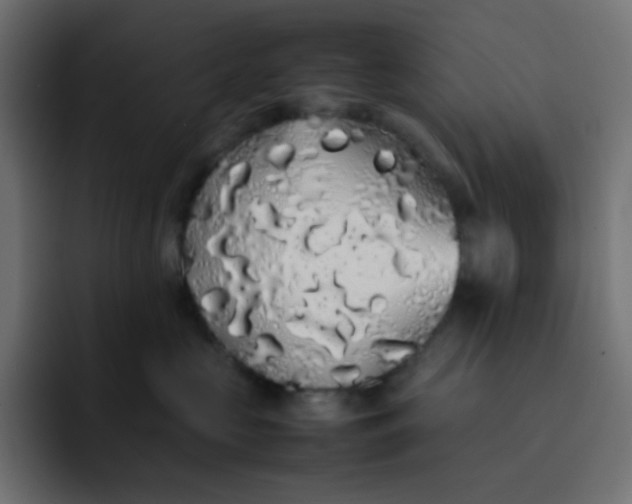 X0000092060573200710031103