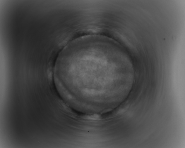 X0000092060576200710031103