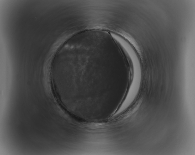 X0000092060577200710031102