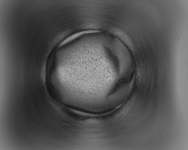 X0000092060578200710031102