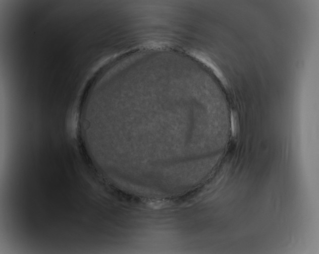 X0000092060579200710031102