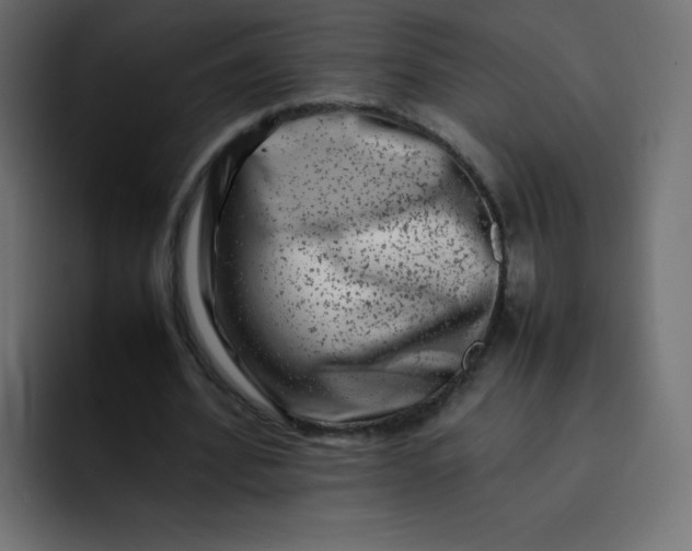 X0000092060580200710031102