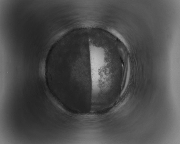 X0000092060581200710031102