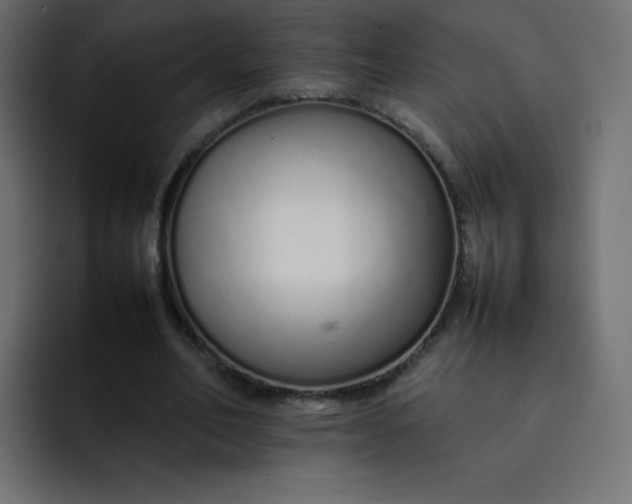 X0000092060582200710031102