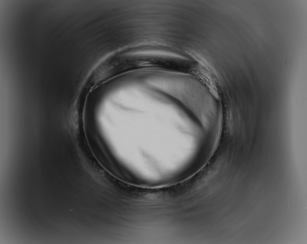 X0000092060584200710031102