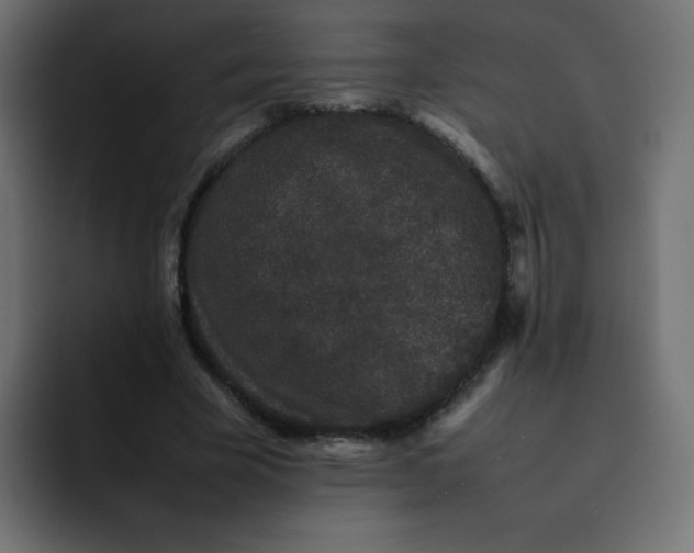 X0000092060585200710031102