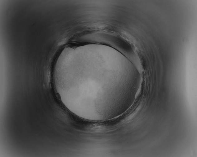 X0000092060589200710031102