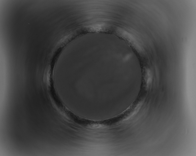 X0000092060590200710031102