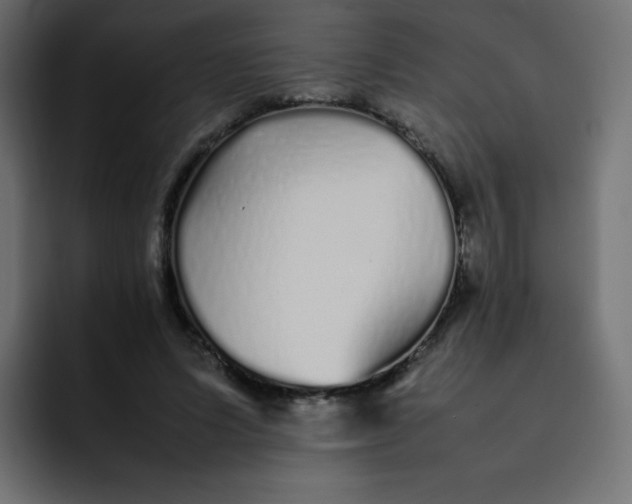 X0000092060591200710031102