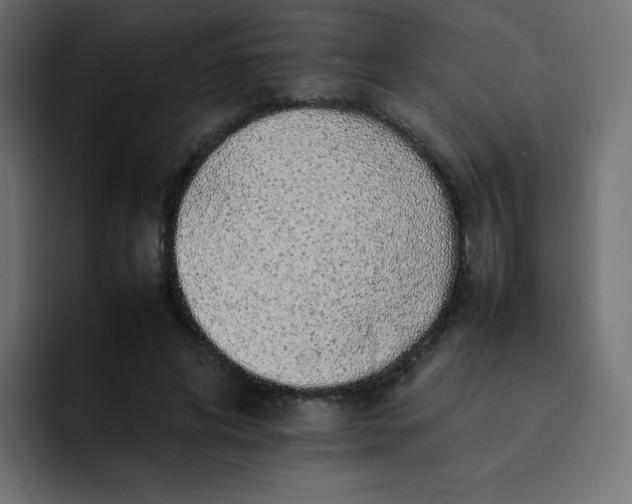 X0000092060592200710031102