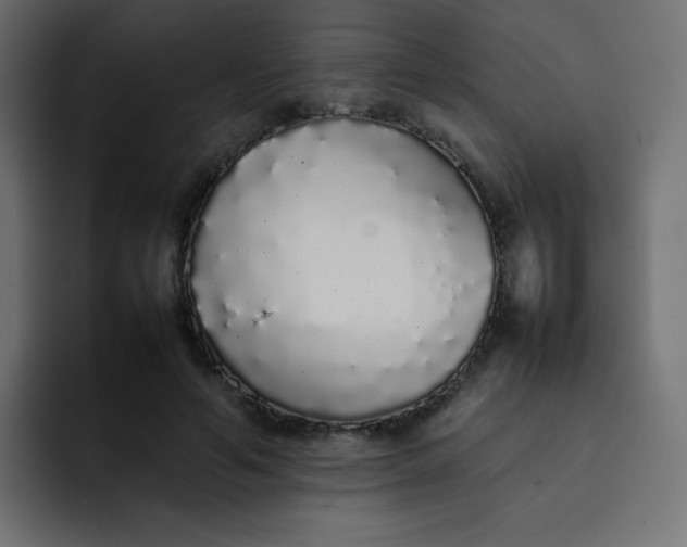 X0000092060594200710031102