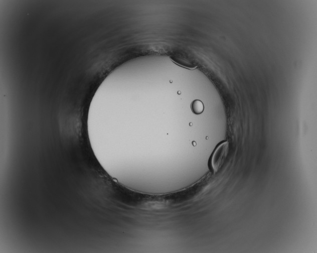 X0000092060595200710031102