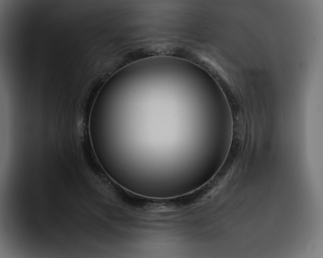 X0000092060597200710031102