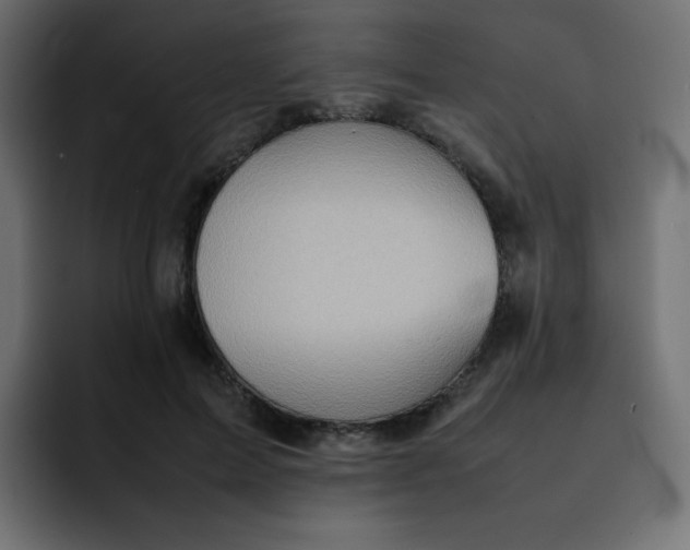 X0000092060599200710031102