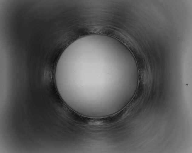 X0000092060602200710031102