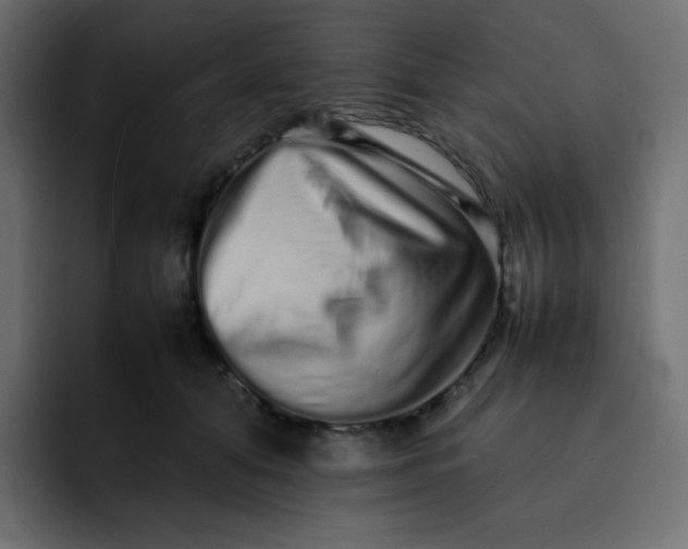 X0000092060608200710031102