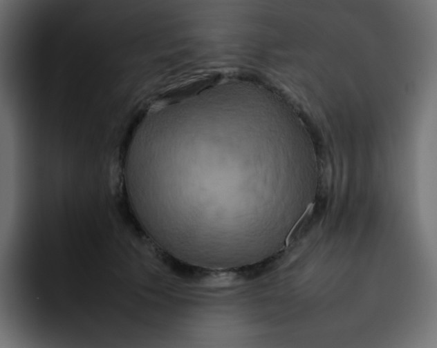 X0000092060609200710031102