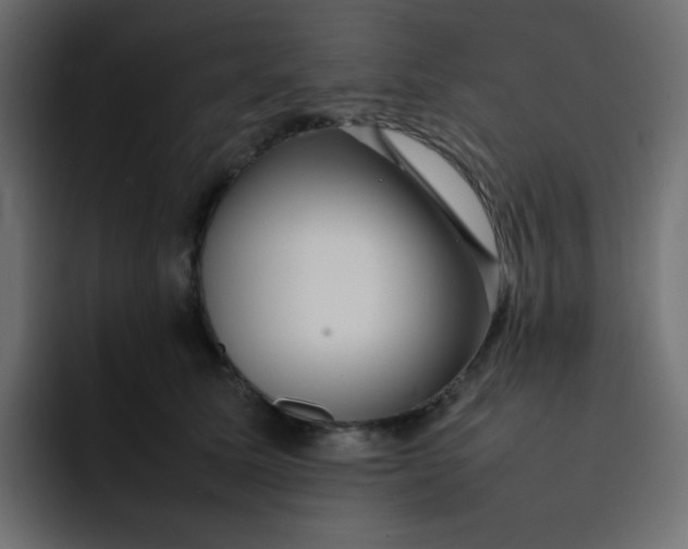 X0000092060611200710031102