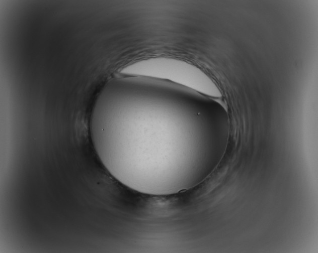 X0000092060613200710031102