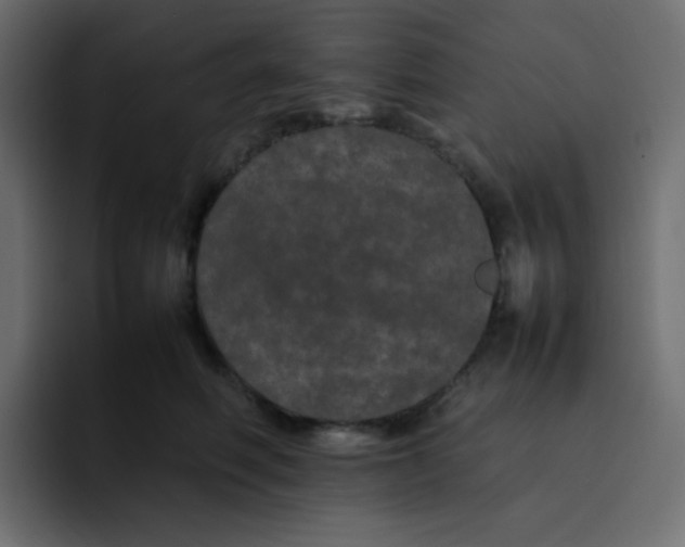 X0000092060614200710031102