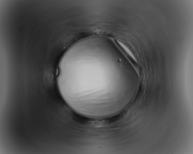 X0000092060615200710031102