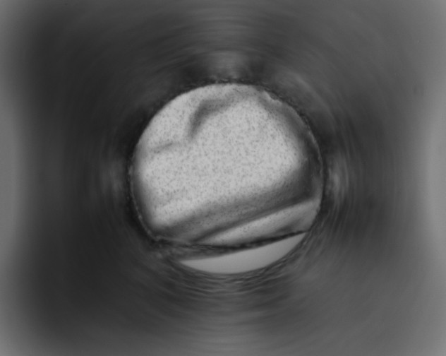 X0000092060616200710031102