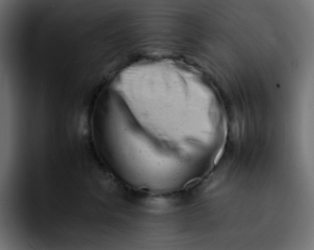 X0000092060620200710031102