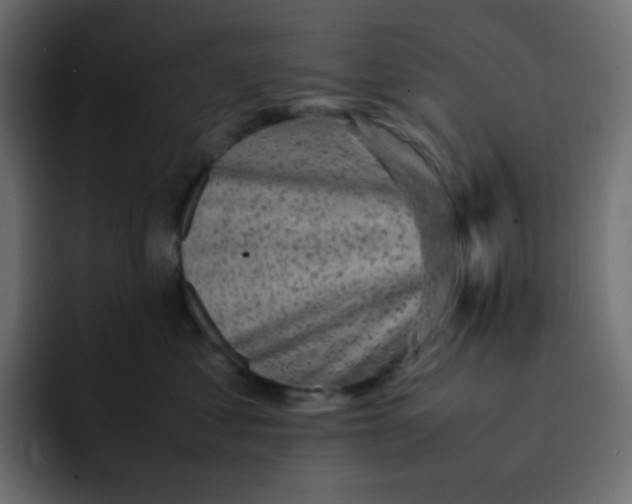 X0000092060621200710031102