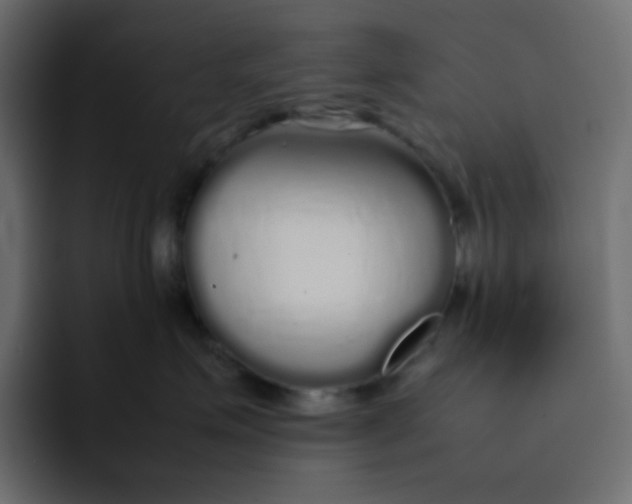 X0000092060623200710031101