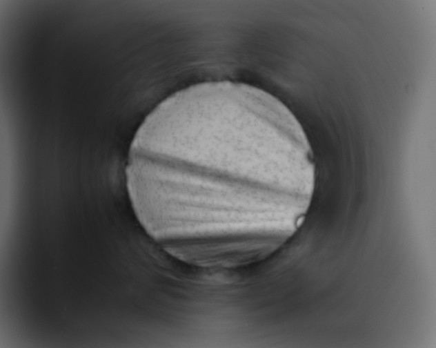 X0000092060624200710031101