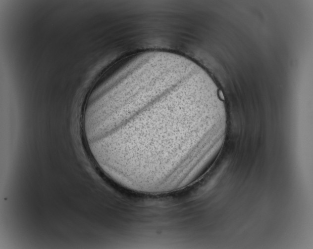 X0000092060625200710031101