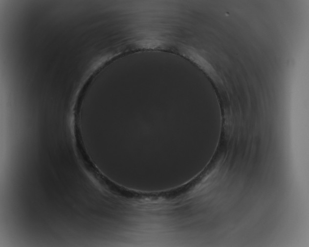 X0000092060626200710031101