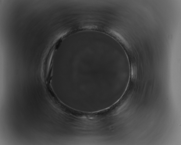 X0000092060627200710031101