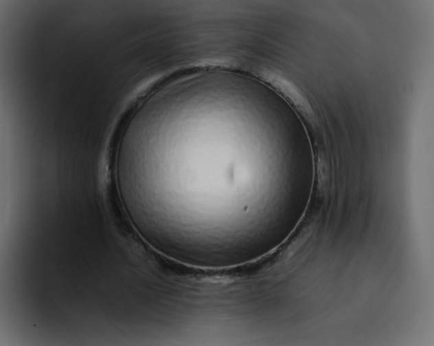 X0000092060628200710031101