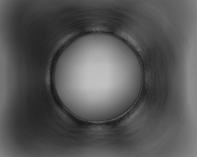 X0000092060629200710031101