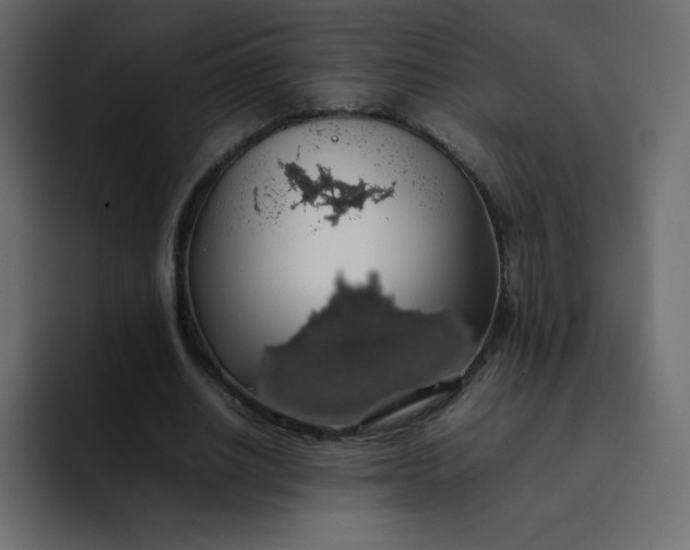 X0000092060630200710031101