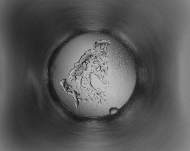 X0000092060634200710031101