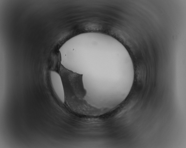 X0000092060637200710031101