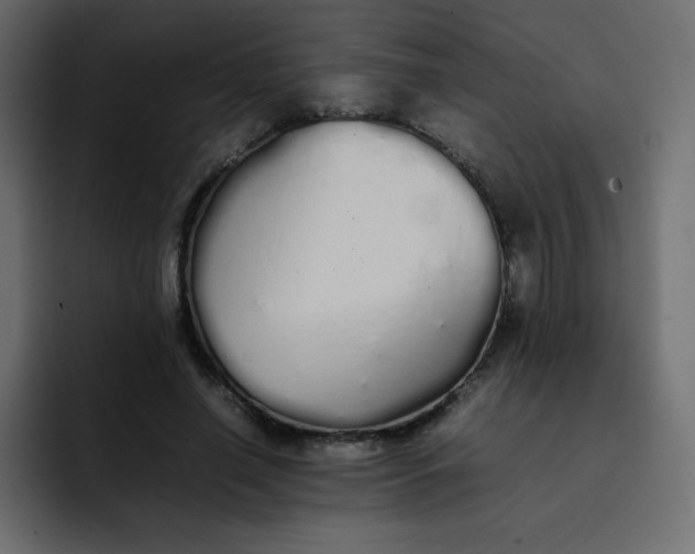 X0000092060638200710031101