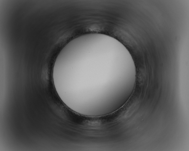 X0000092060639200710031101