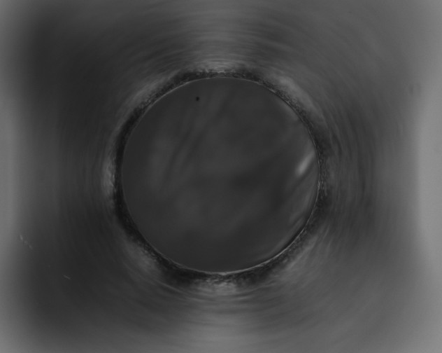 X0000092060640200710031101